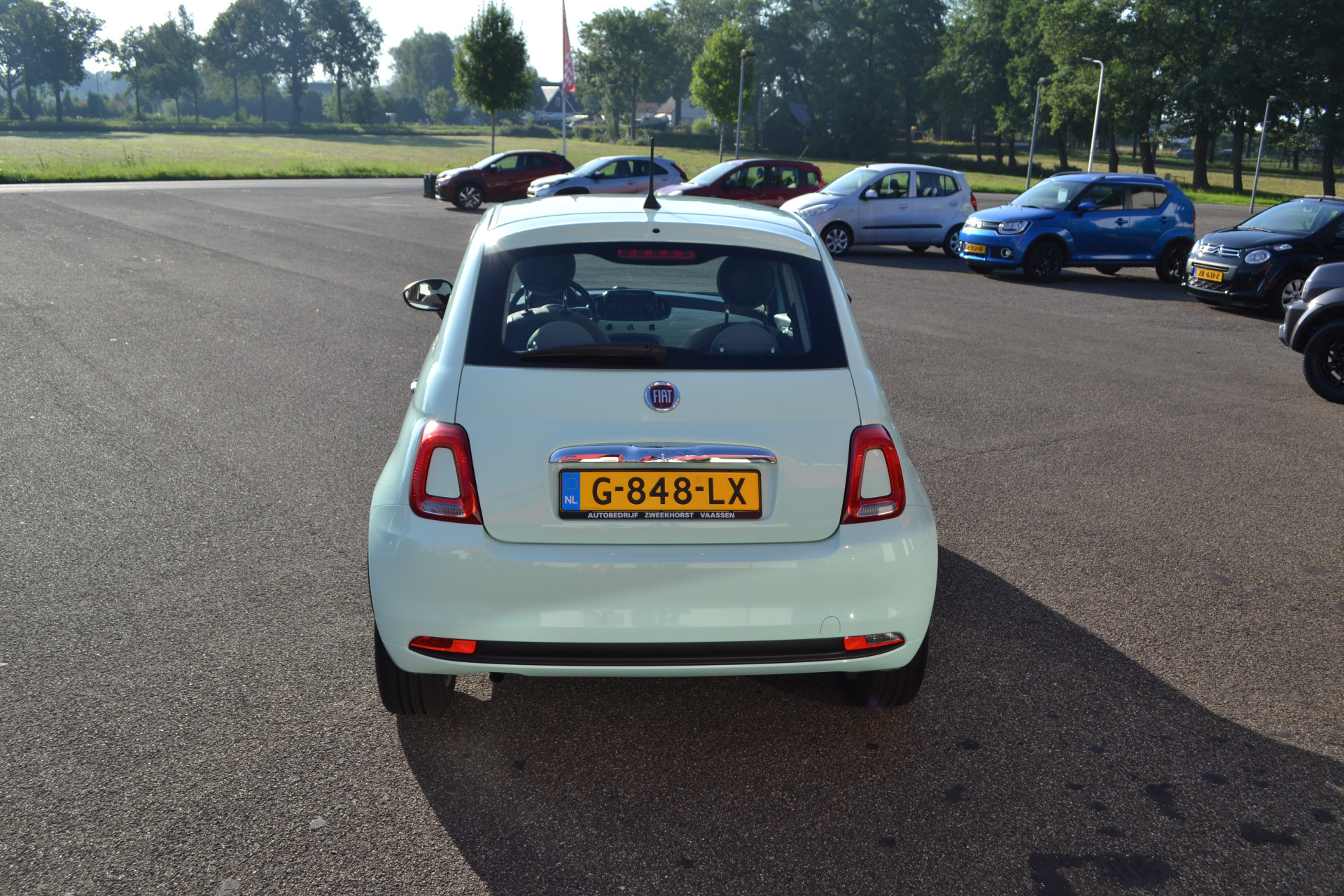 39638446-11.jpg