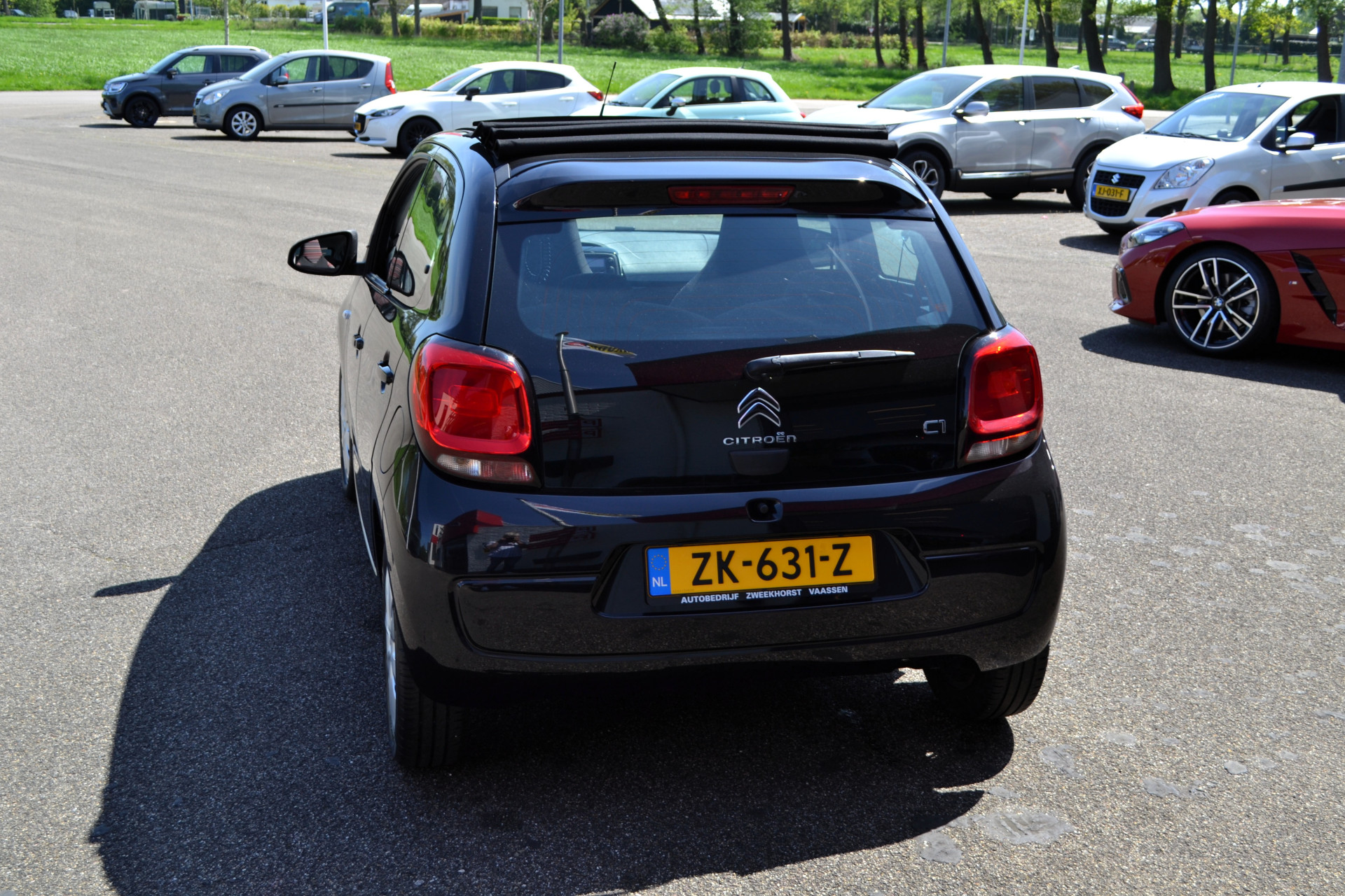 39638493-13.jpg