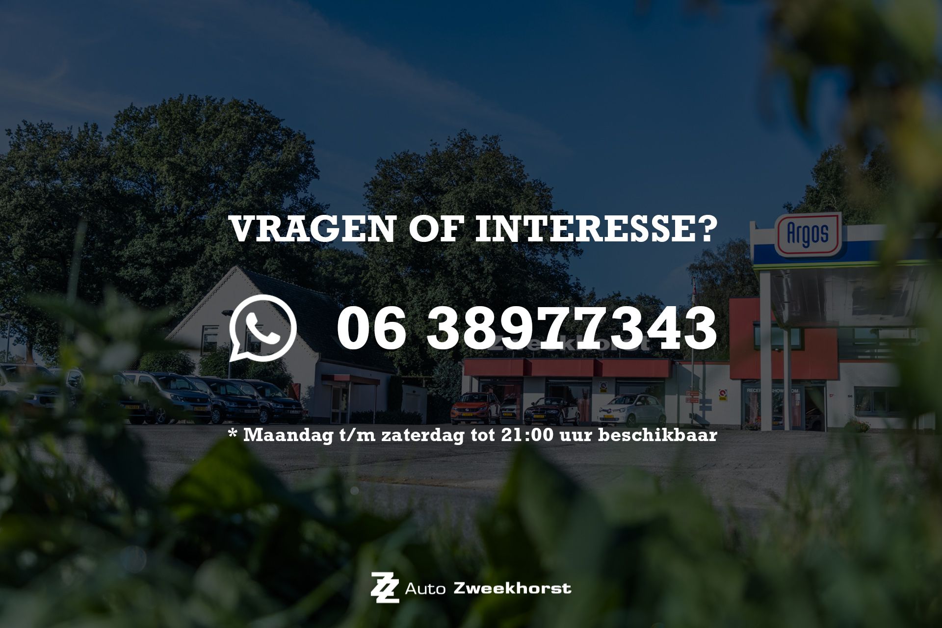 42499133-3.jpg