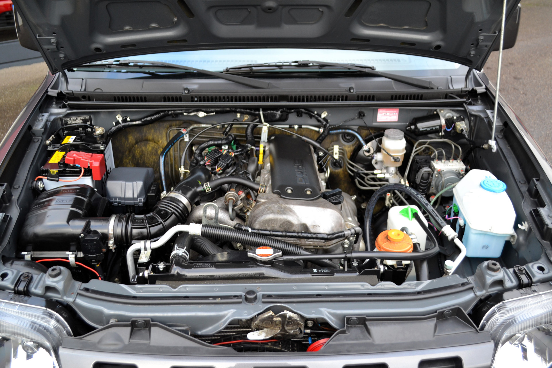 42499133-9.jpg