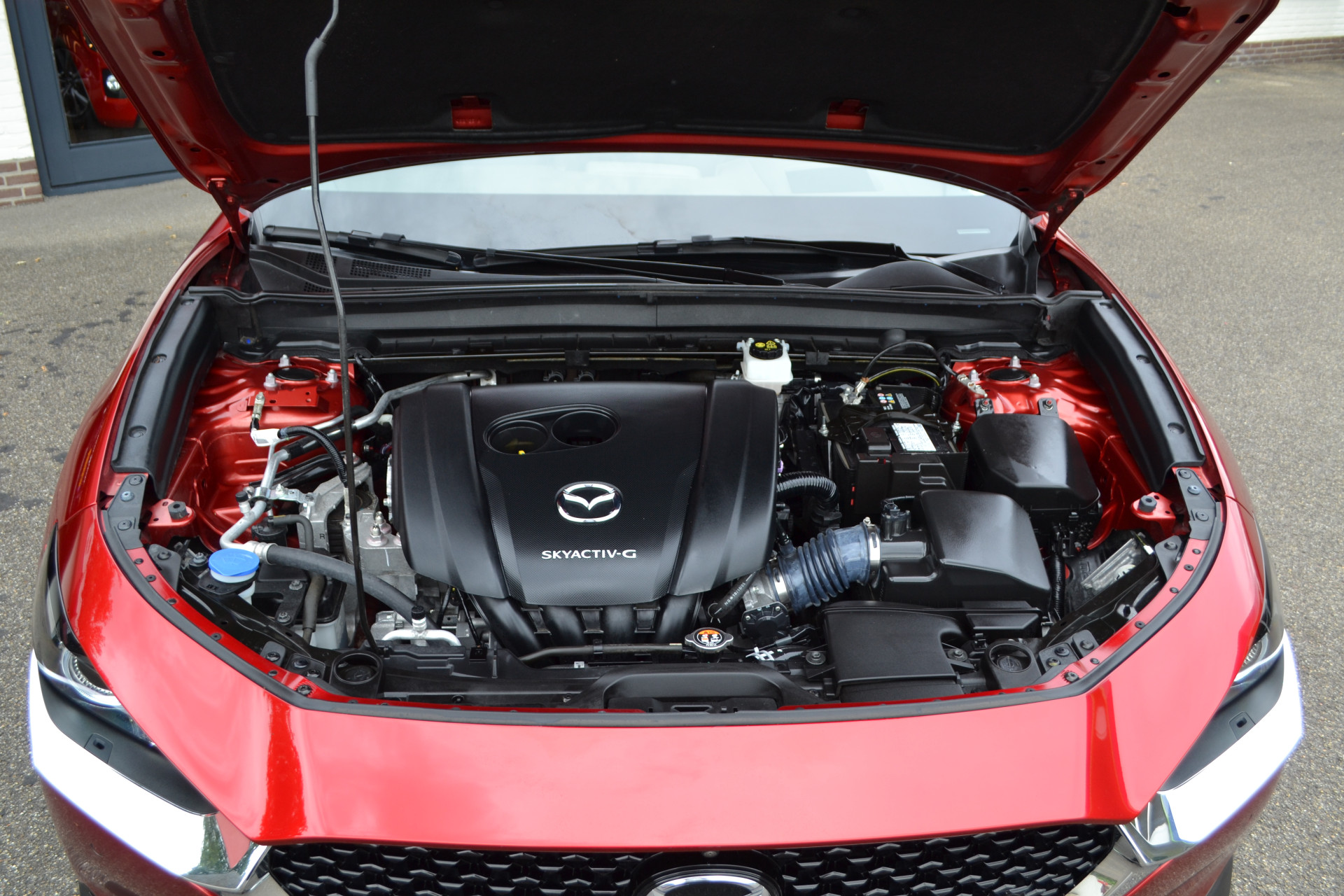 46180082-18.jpg
