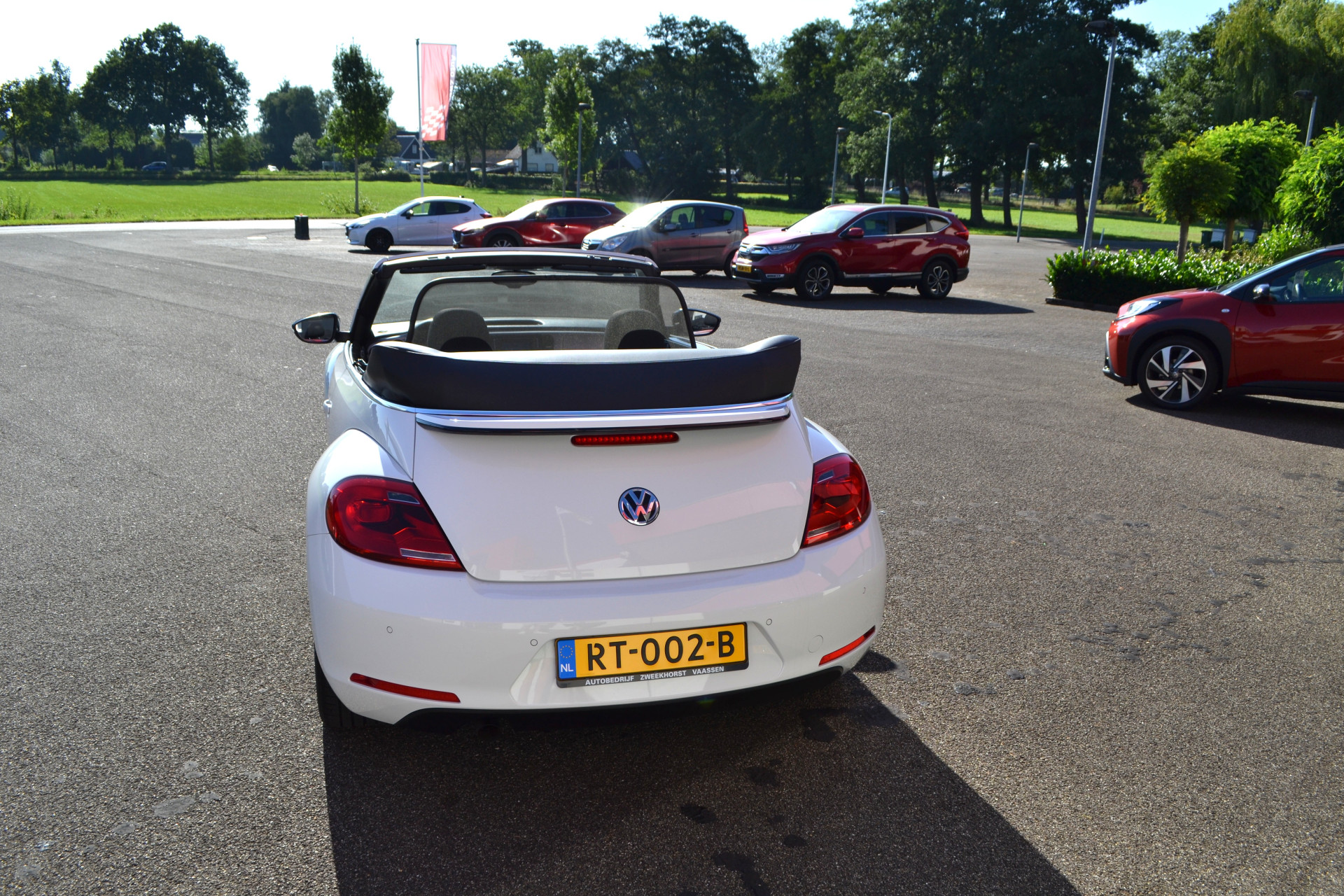 47015767-29.jpg